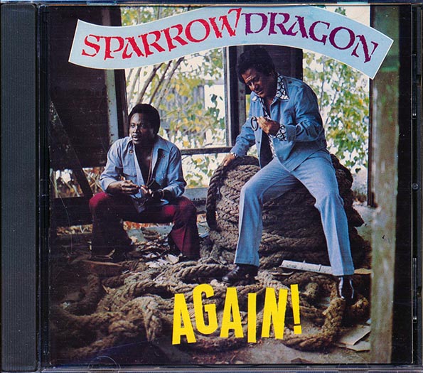 Sparrow Dragon - Again
