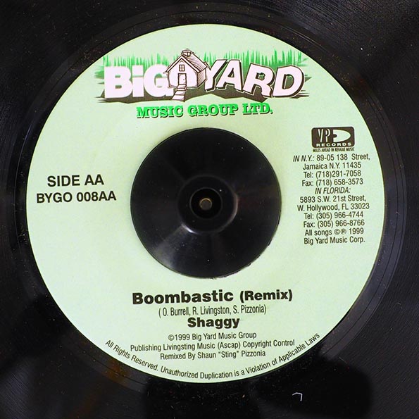 Shaggy - Boombastic  /  Remix