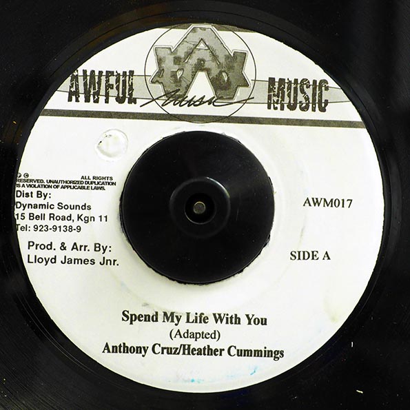Anthony Cruz, Heather Cummings - Spend My Life With You  /  Version