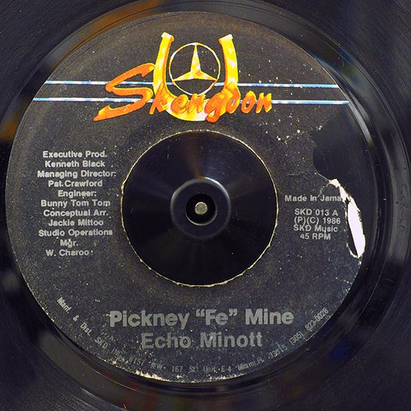 Echo Minott - Pickney Fe Mine  /  Skengdon All Stars - Mine Version