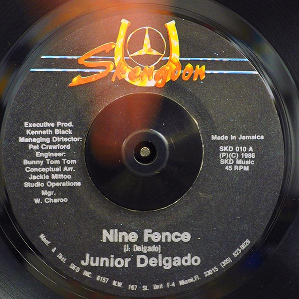 Jr. Delgado - Nine Fence  /  Skengdon All Stars - Paint The Fence