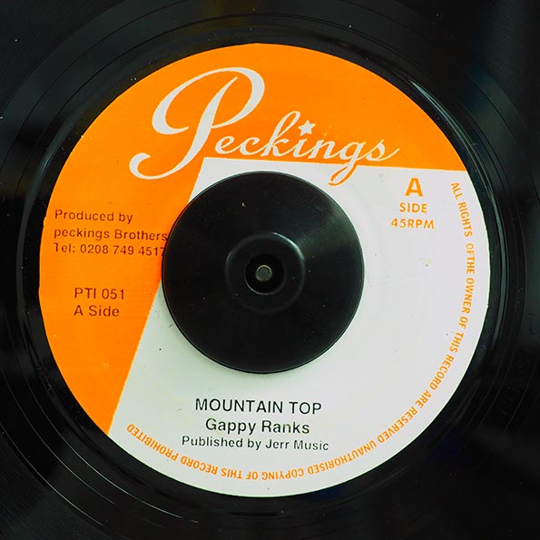 Gappy Ranks - Mountain Top  /  Jahmali - Love For Each Other