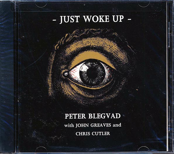 Peter Blegvad - Just Woke Up